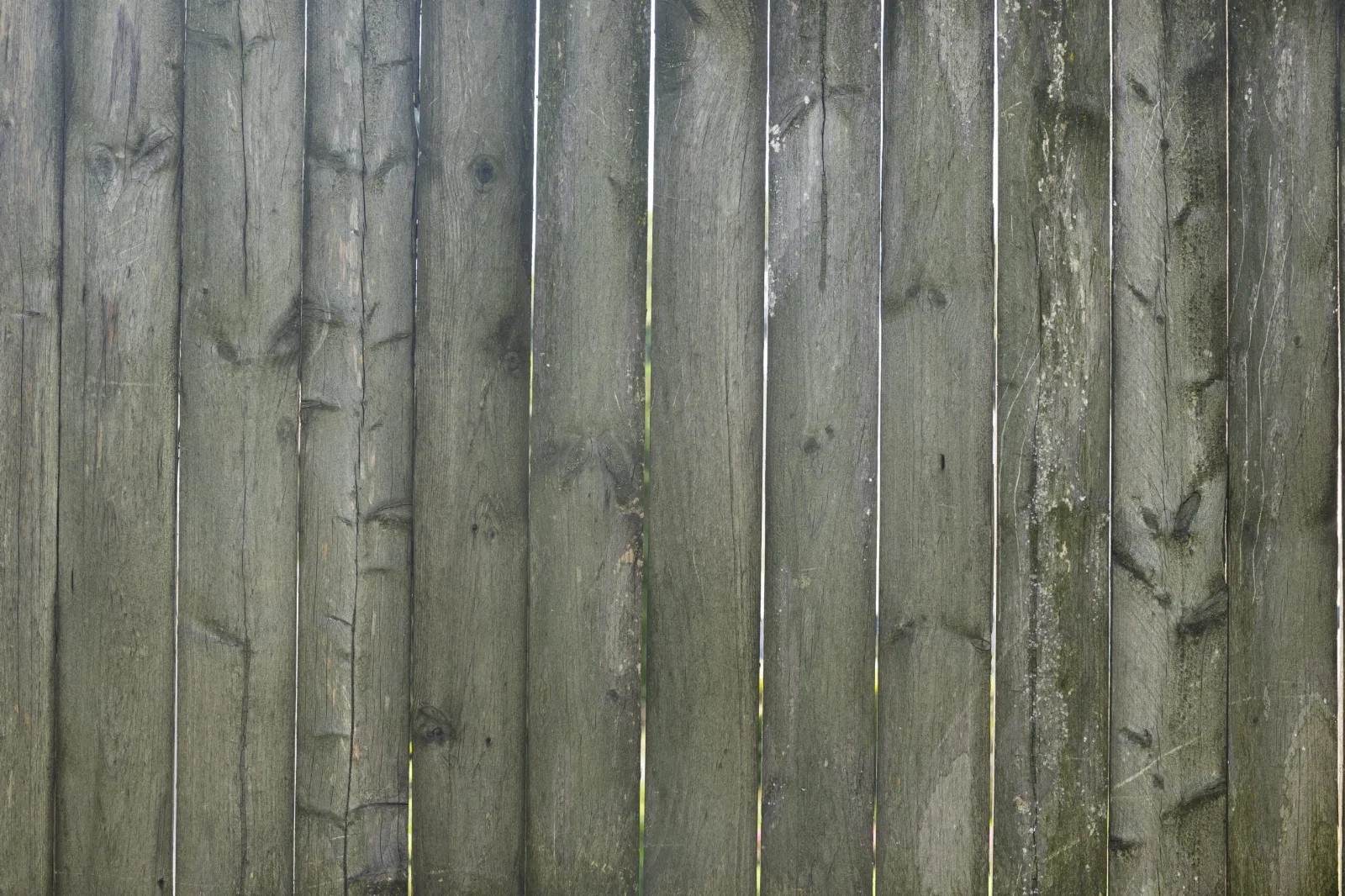 How to Pick a Reliable Wood Fence Supplier in Orlando