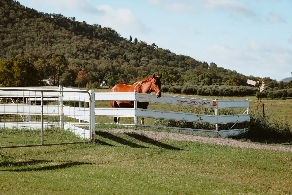 Safeguard Your Farm: Field Fence Installation in St. Cloud