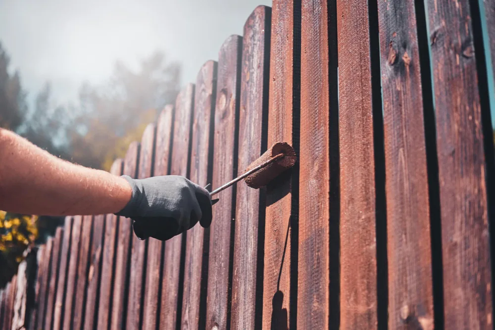 Cypress vs. Pine, Which Type of Wood Makes the Best Fencing Material?