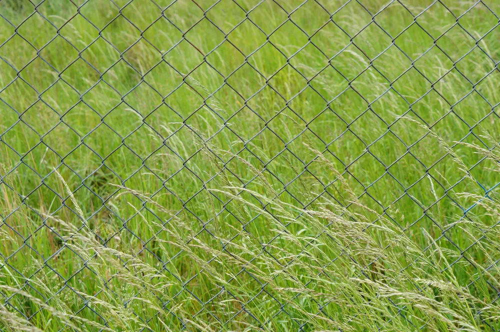 Field Fence Supplier in Lake Nona: Secure Your Property